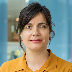 Chiara Ruffa, course instructor for Case Study Methods: Case Study Logic, Selection and Analysis Across Epistemologies at ECPR's Research Methods and Techniques